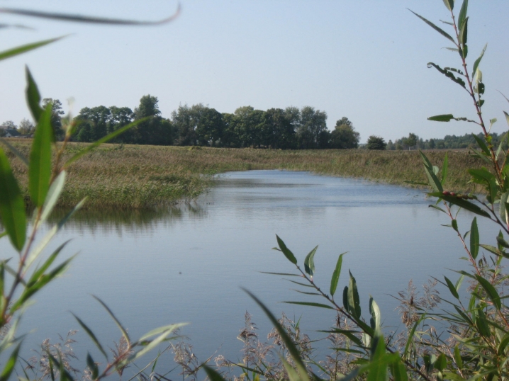 Учителя трудового навчання знайшли мертвим у ставку на Яворівщині