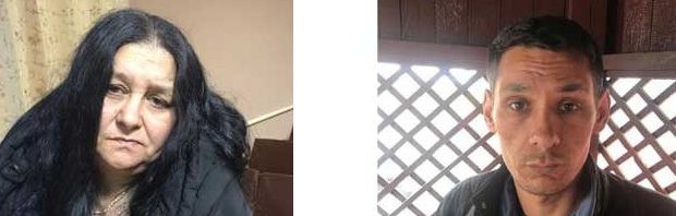 На Сокальщині банда ромів грабує будинки