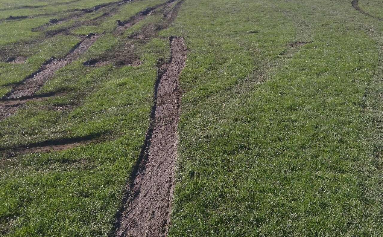 У Трускавці водій на авто попсув шкільне футбольне поле