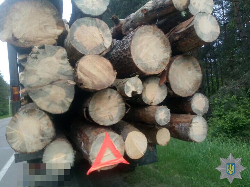 На Яворівщині поліція затримала вантажівку з незаконною сосною