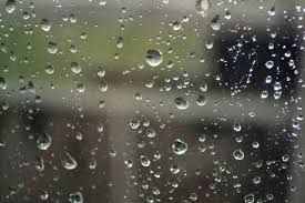 У Львові далі дощитиме: синоптики попереджають про шквальний вітер та град