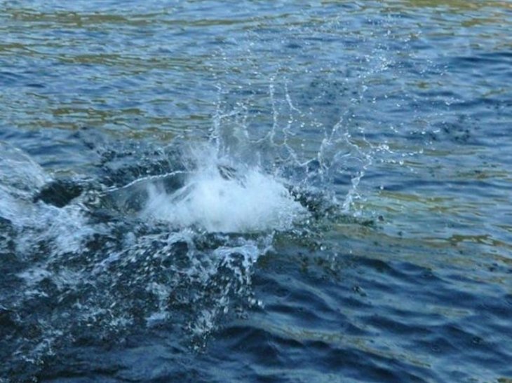 Другий день біля Львова шукають тіло 19-річного хлопця