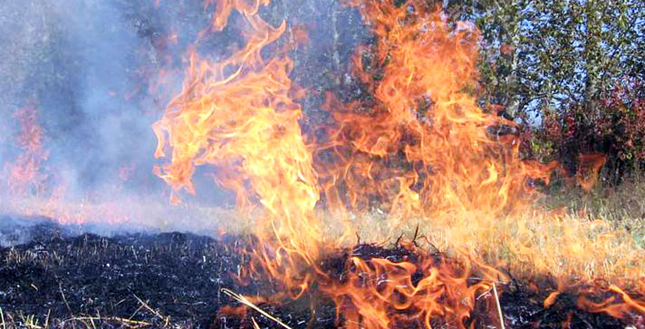 Надзвичайна пожежна небезпека на Львівщині: фахівці радять дотримуватись правил безпеки