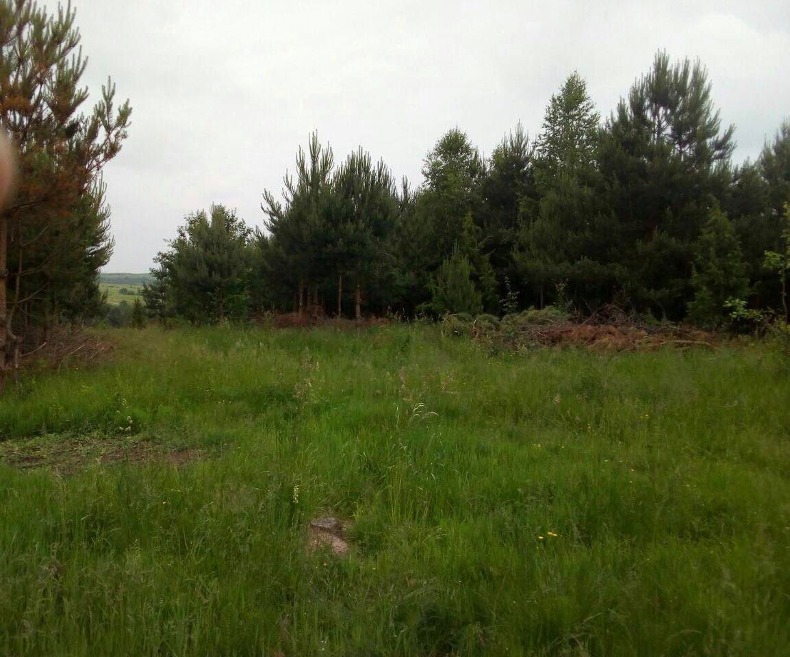 На Старосамбірщині створять відпочинковий комплекс у стилі АТО