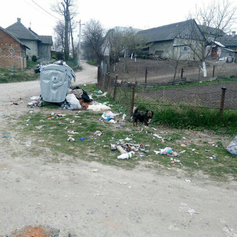 «Всі бояться екологічної катастрофи»: на Миколаївщині сміттєва криза