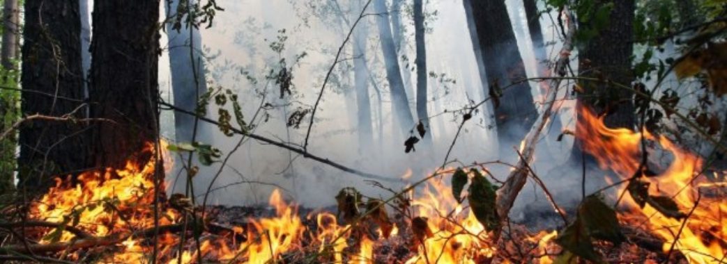 Сьогодні на Мостищині збережеться надзвичайна пожежна небезпека