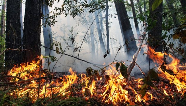 Сьогодні на Мостищині збережеться надзвичайна пожежна небезпека