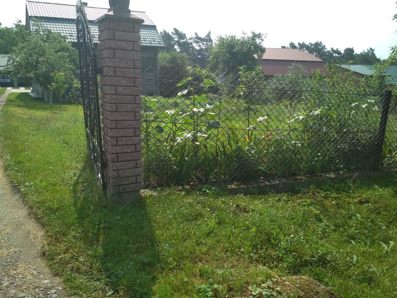 Десятки банерів Тараса Чолія зірвали невідомі у 123-му окрузі