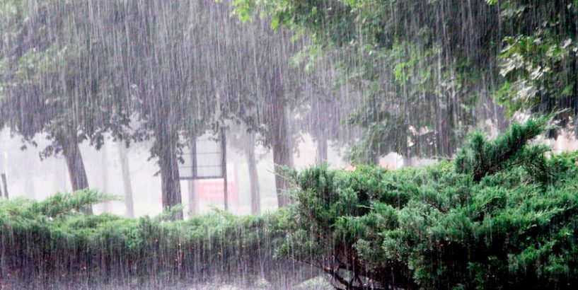 Синоптики попереджають про сильні зливи та град