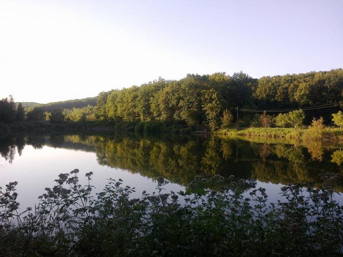 Ставки на Львівщині можна взяти в оренду: аукціон відбудеться 22 липня