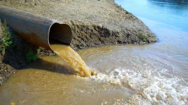 Екологічні порушники Львівщини поповнили державний бюджет мільйонами