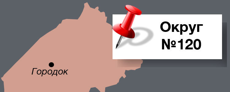 Фігурант 37-ми антикорупційних розслідувань: хто іще балотується у 120 окрузі?