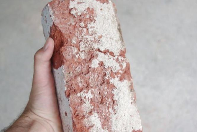 Львів’янин цеглою вбив свою тещу