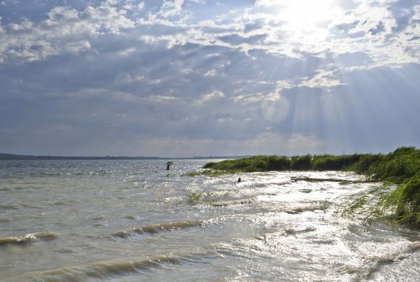 У Яворівському озері не виявили перевищення норм хімічних показників