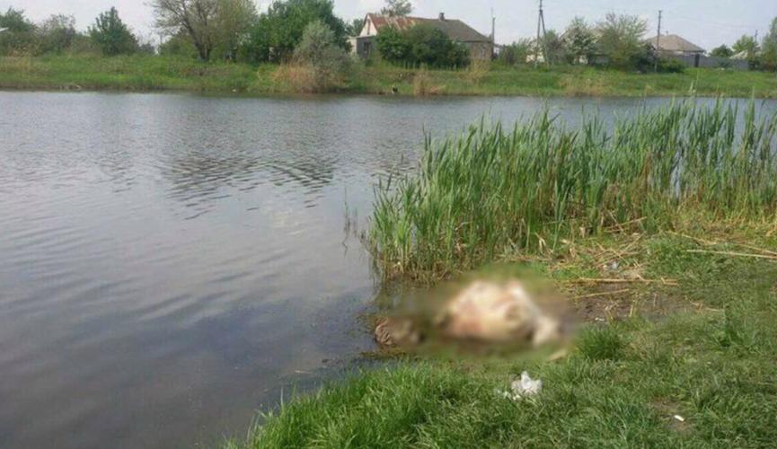 На Городоччині вбивцю власника озера випадково затримали патрульні