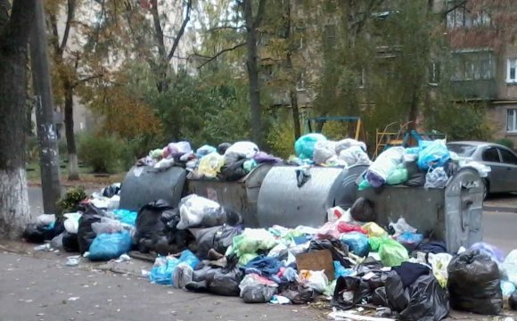 «Спалювати – дорого, багато інших методик – малоефективні»: Мальський про те, що ж робити зі сміттям
