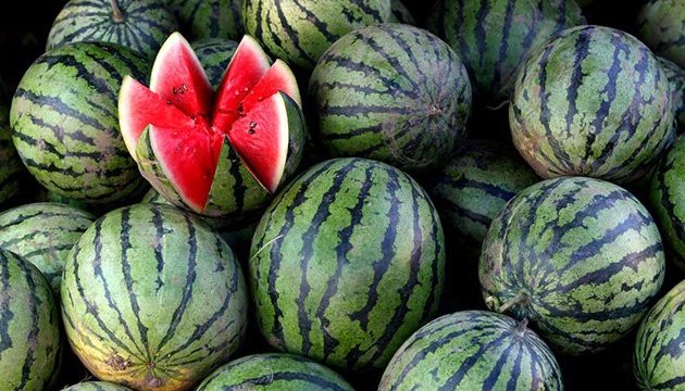 Супрун розповіла про користь кавунів для курців та спортсменів