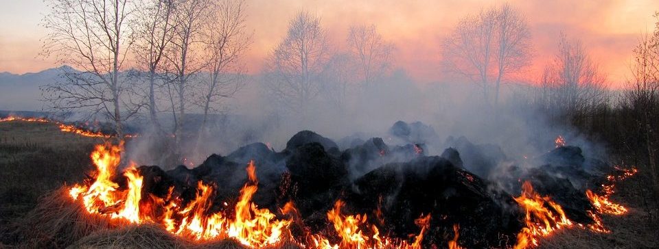 До 2 вересня на Львівщині буде надзвичайний рівень пожежної небезпеки