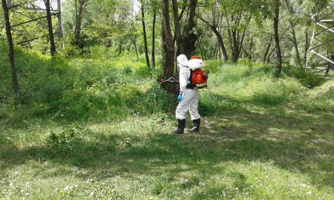 Від завтра парки Львова оброблятимуть від кліщів