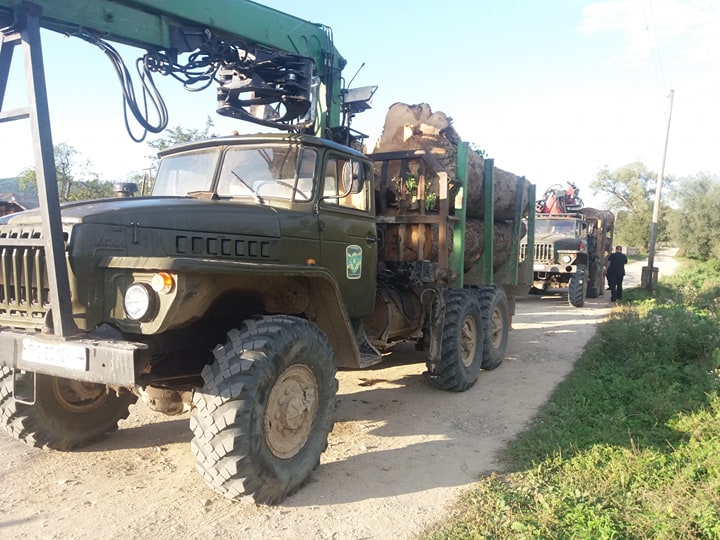 70021079_1879480895488281_6010443110230786048_n