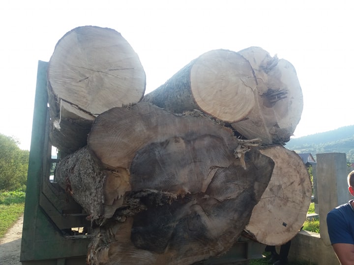 70705174_2233138683645028_391342421985722368_n