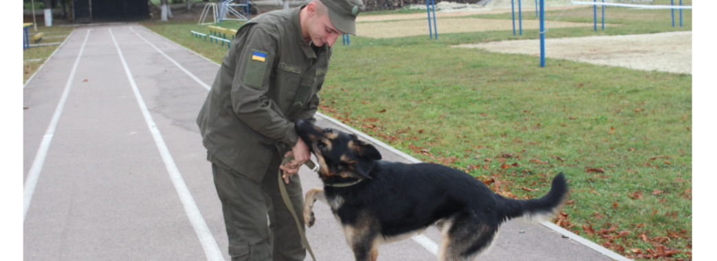 “Буде служити в армії”: нацгвардійці прихистили знайденого в кущах собаку