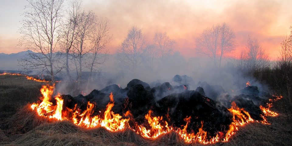 Синоптики попереджають про надзвичайний рівень пожежної небезпеки