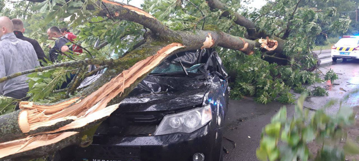 «Нема людини, якій би він відмовив в допомозі»: житель Миколаївщини загинув через дерево