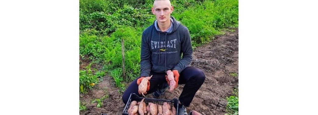 “Смажений на маслі смакує найбільше”: 21-річний хлопець на Самбірщині виростив батат