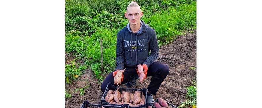 “Смажений на маслі смакує найбільше”: 21-річний хлопець на Самбірщині виростив батат