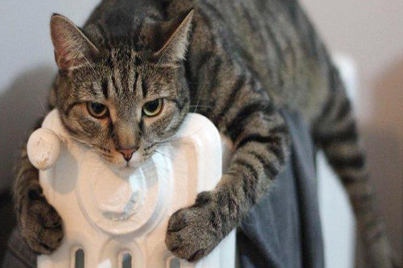 У Новому Роздолі ліквідували прориви