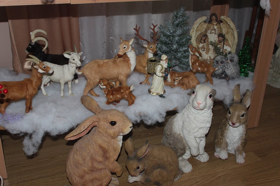 Стефанія Лемешівська з Миколаєва перетворила свій будинок на «різдвяну казку»