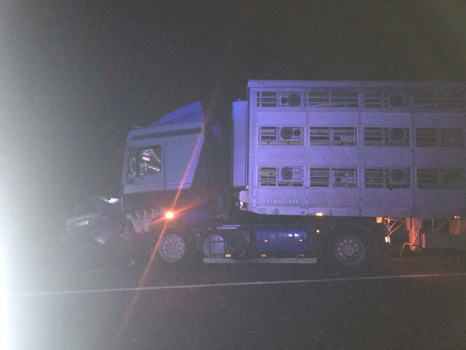 “Водій перевищив швидкість”: В ДТП на Жовківщині загинуло двоє людей