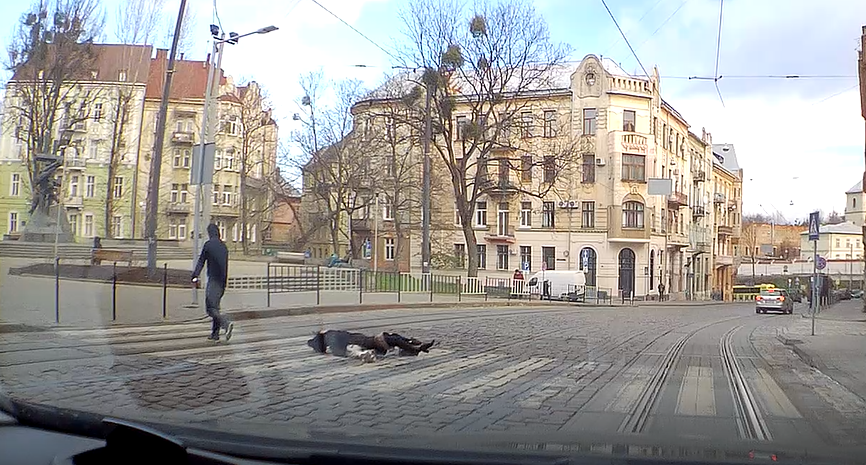 Молодика, який вдарив жінку у центрі Львова, затримали