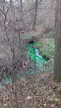 Зелена вода – нетоксична: екологи заспокоюють мешканців Новояворівська