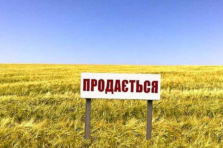 Іноземці не зможуть купувати українську землю: законопроєкт по ринку землі з правками