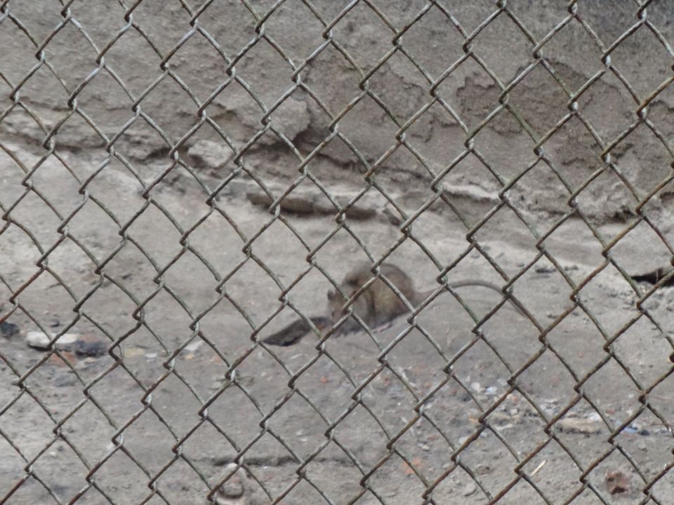 81619363_530206630924849_1520286803511214080_o