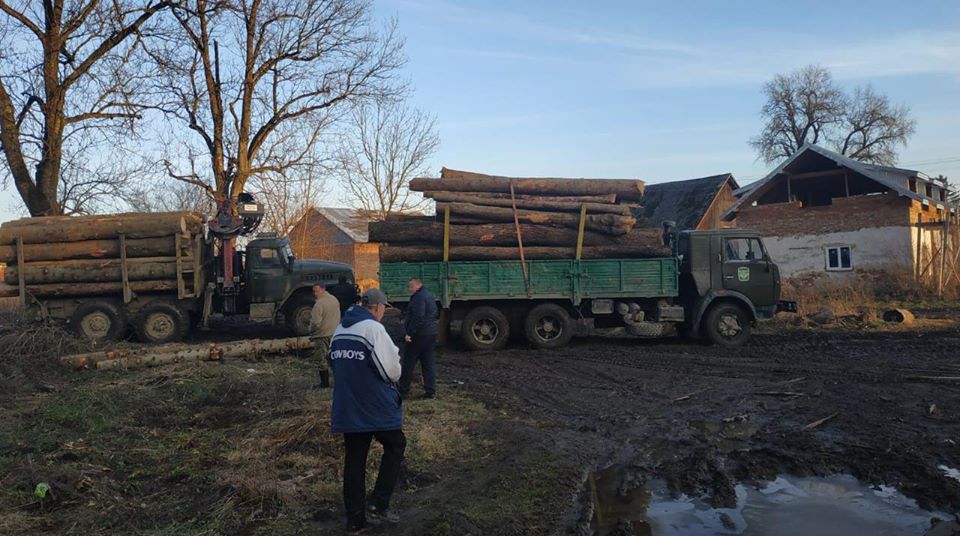 На Старосамбірщині поліція викрила ще одну пилораму з незаконною деревиною