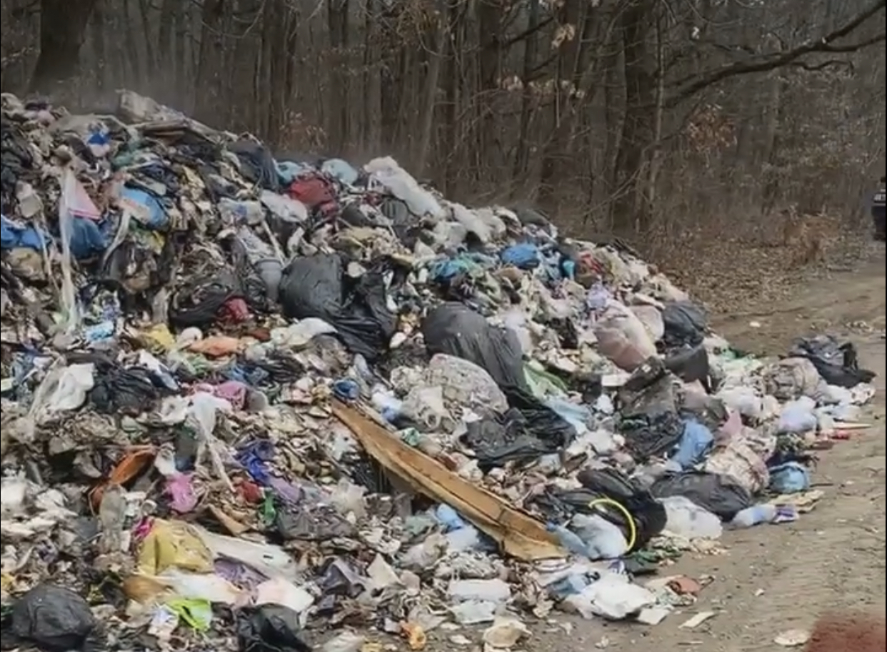 На Чернівеччині виявили купи львівського сміття