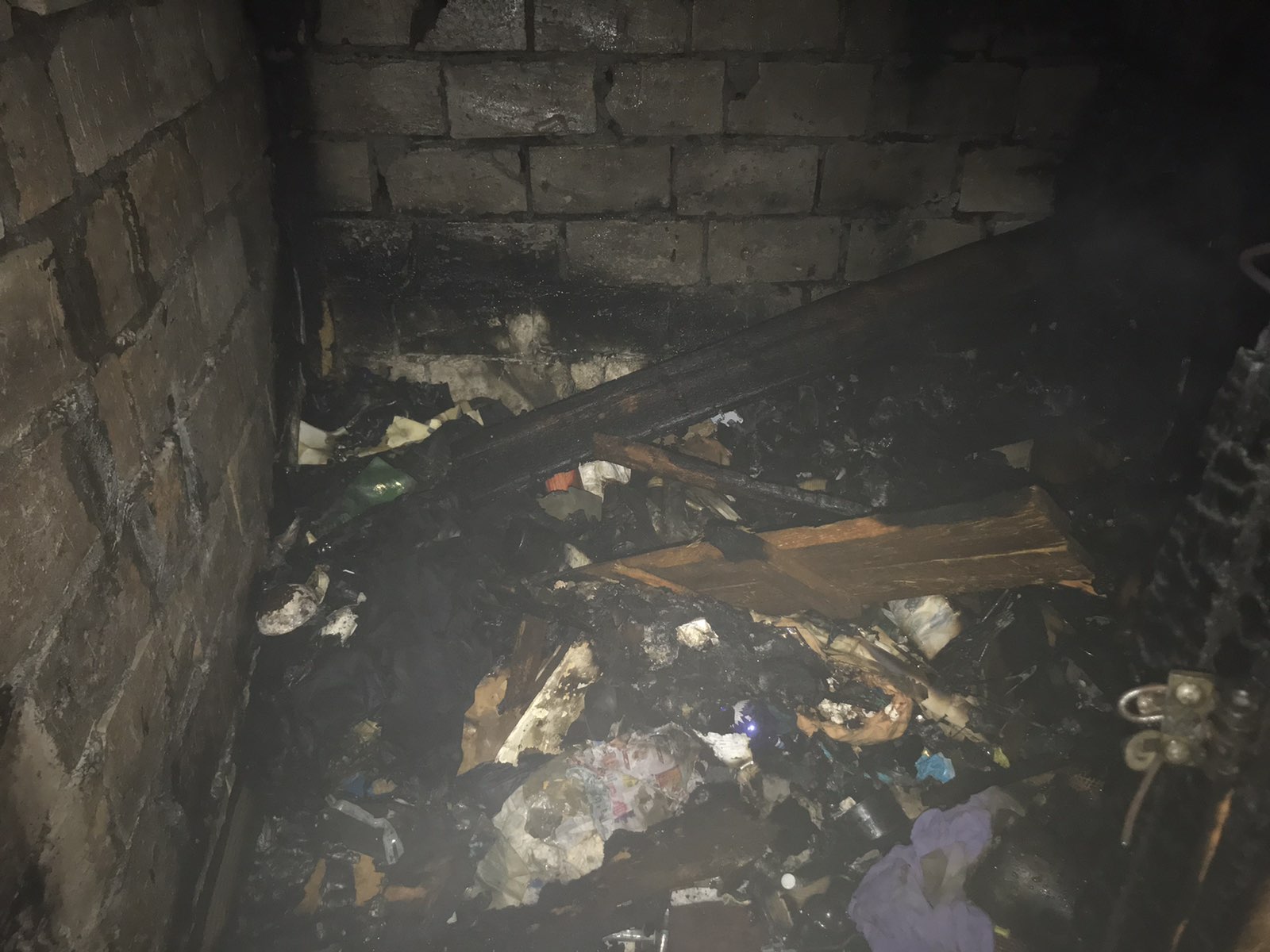 Львівські рятувальники винесли з пожежі трьох безхатьків