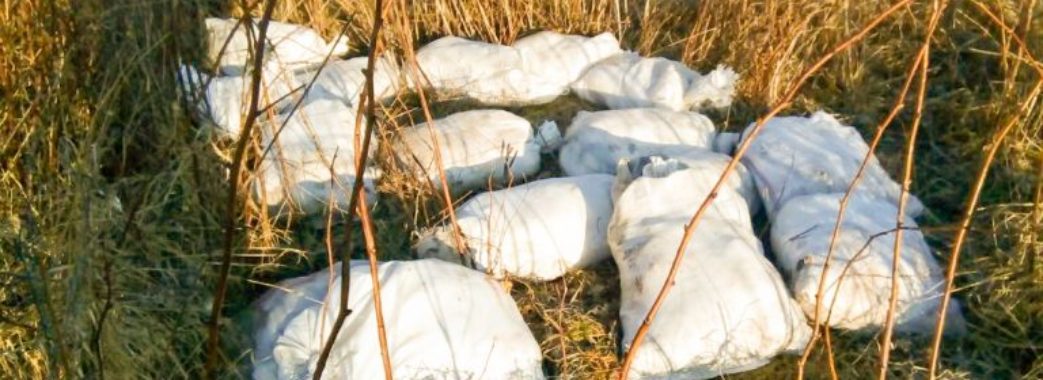 На Дрогобиччині невідомі викинули в селі мішки із мертвими кролями
