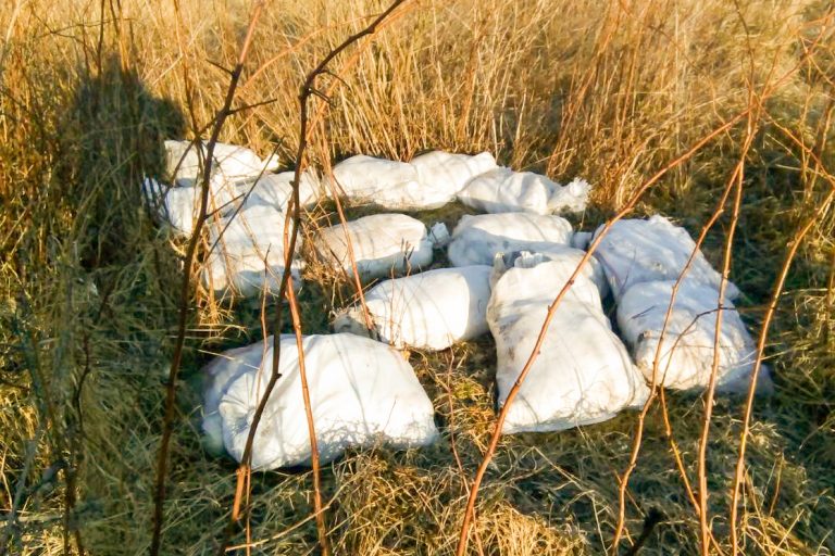 На Дрогобиччині невідомі викинули в селі мішки із мертвими кролями