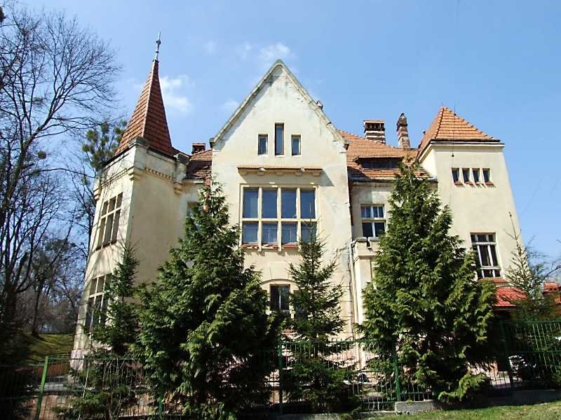 Виставлять на аукціон: Львівська облрада закрила дитячий психоневрологічний диспансер