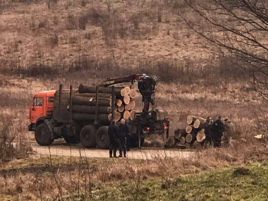 На Городоччині селяни зі священником затримали лісовоз із дубом без чипів