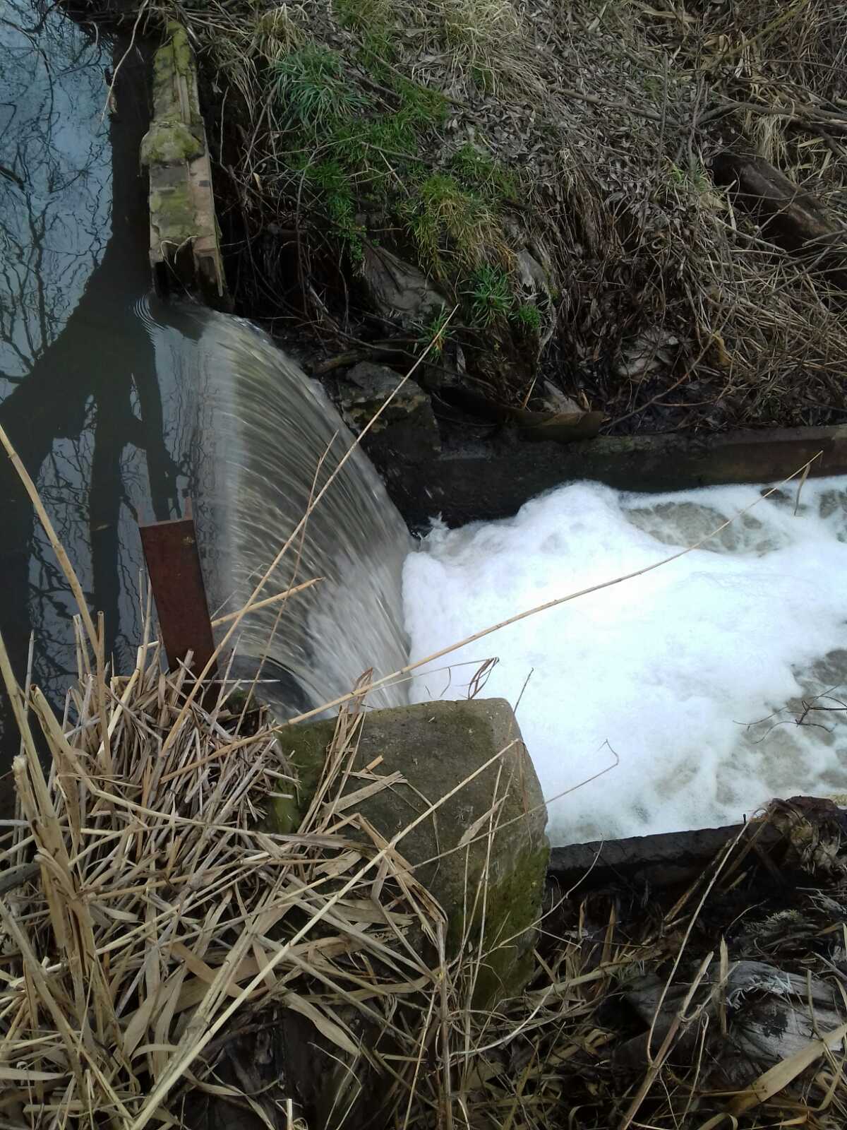 «Її навіть кури та гуси оминають»: на Пустомитівщині тече мильна річка