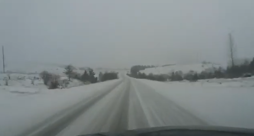 Частину Львівщини засипало снігом (Відео)