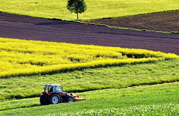 На Кам’янка-Бужчині шотландський інвестор робитиме біоупаковки з картоплі