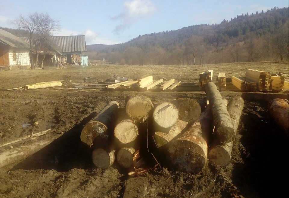 На Старосамбірщині поліція знову виявила незаконно зрубану деревину