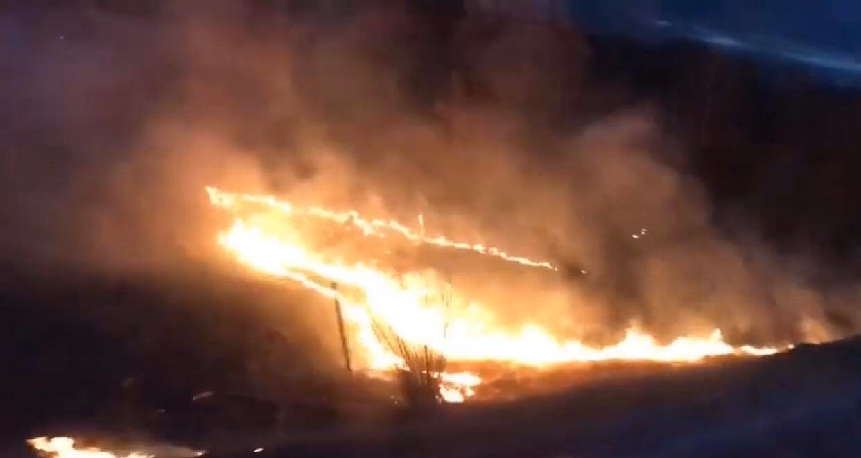 На Старосамбірщині горить земля з червонокнижними підсніжниками (ВІДЕО)