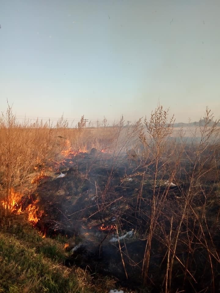 ЛОДА подала законопроєкт про збільшення штрафів для паліїв сухої трави
